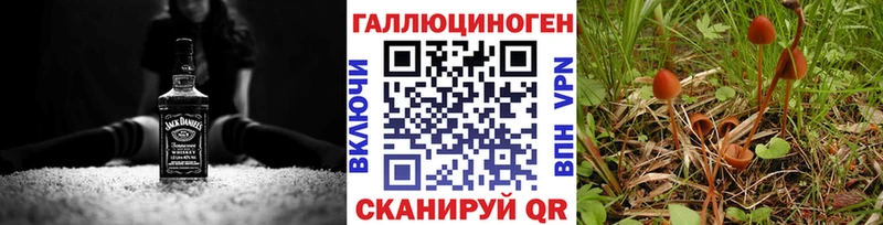Галлюциногенные грибы ЛСД  Цивильск 